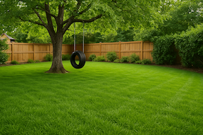 Lawn Care Services